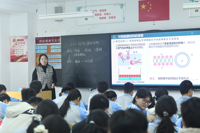 1763369186039089100.jpg 20.jpg