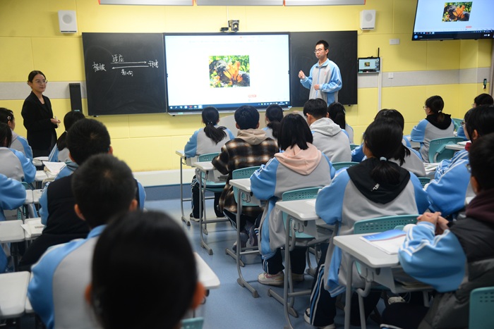 1763369298228029464.jpg 29.jpg