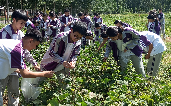 6.1 劳动基地.png